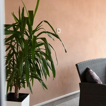 アパート Damant ザダル